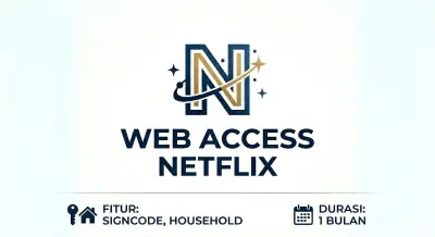 WEB ACCESS NETFLIX
